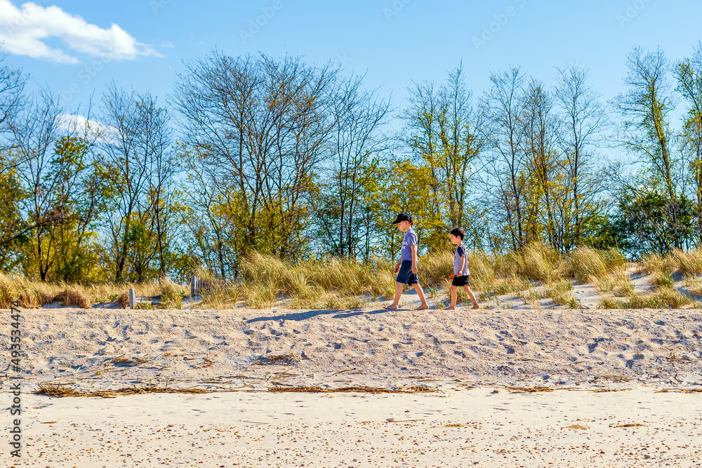 Brothers walking on the beach in summer