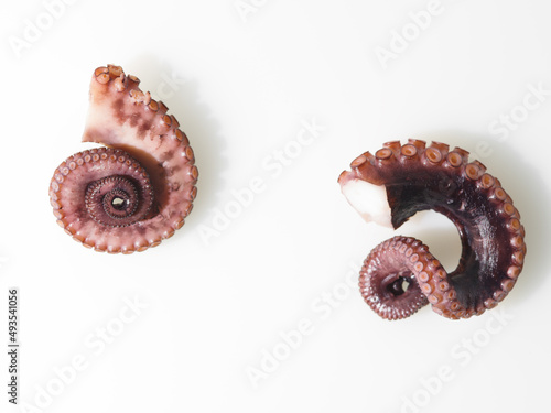 Parts of a marine octopus clam, two legs with tentacles and suckers. Isolated on white background. Wildlife, biology, ocean, aquarium. Cooking - cooking gourmet seafood dishes.