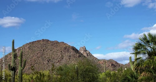 Desert Sunny Afternoon