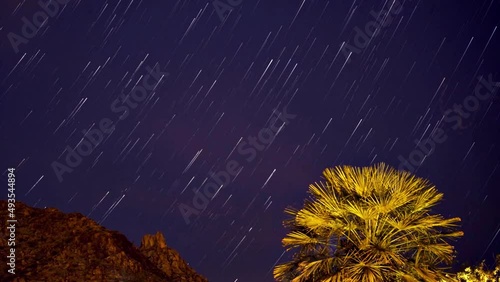 StarTrails & Mountain & Palm Tree
