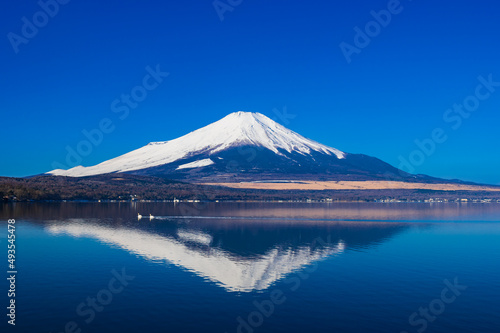 逆さ富士と白鳥 山中湖