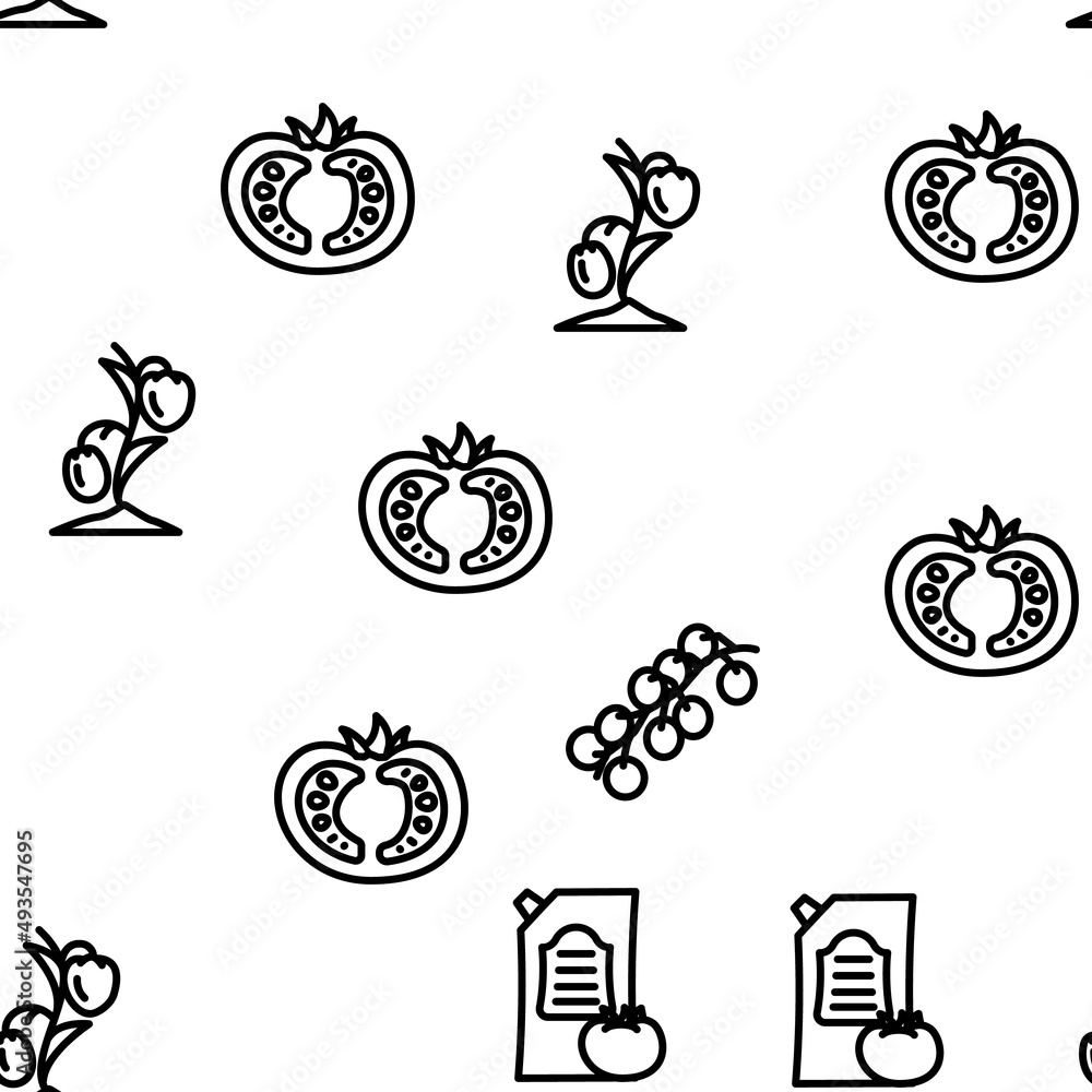 Tomato Natural Bio Ingredient Vector Seamless Pattern Thin Line Illustration Tomato Natural Bio Ingredient Vector Seamless Pattern Thin Line Illustration