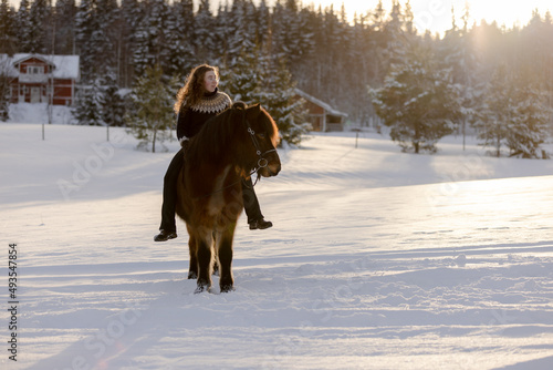 Icelandic horse and rider posing during sunset. Backlight from the sun.