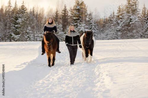 Two Icelandic horses and riders walking on the snowy road in countryside. During sunset.