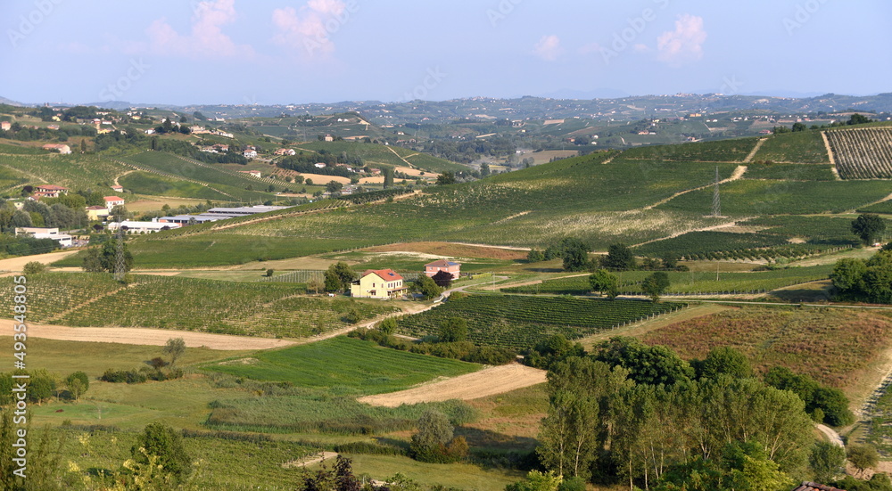 Liebliche Landschaft mit Weinberg im Piemont