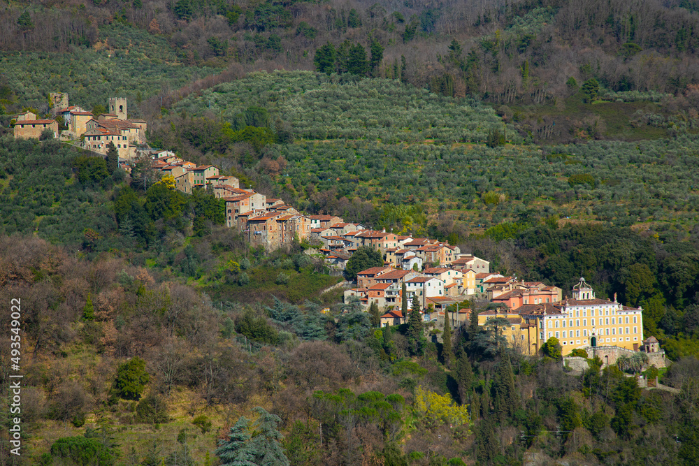 The view of the town Collodi with the Villa Garzoni in front