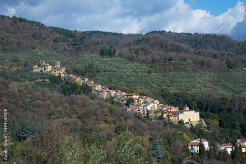 The view of the town Collodi with the Villa Garzoni in front © galina