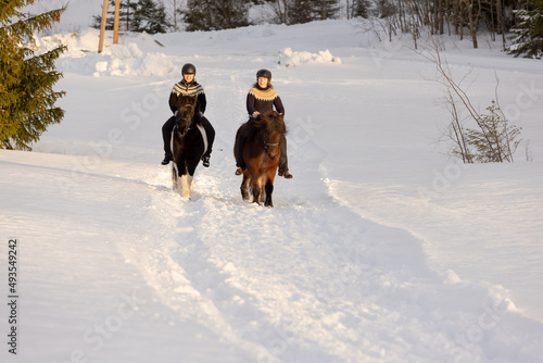 Two Icelandic horses with female riders during sunset. Brown and black and white horse. Riders wearing helmet.