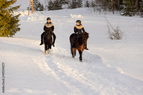 Two Icelandic horses with female riders during sunset. Brown and black and white horse. Riders wearing helmet.