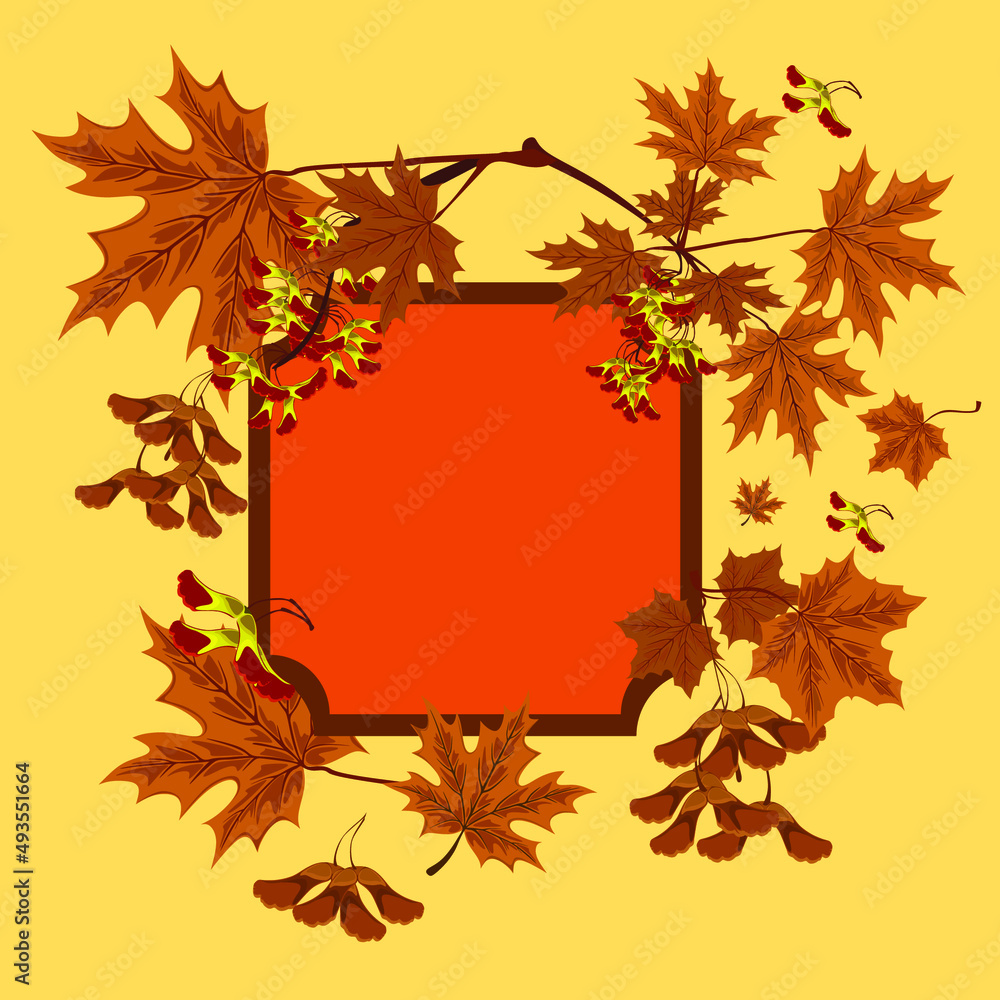Branch, seeds and leaves of maple. Autumn maple leaves set. Consept of autumn frame or background with maple leaves. Branch, seeds and leaves of maple. Autumn maple leaves set. Consept of autumn frame or background with maple leaves.