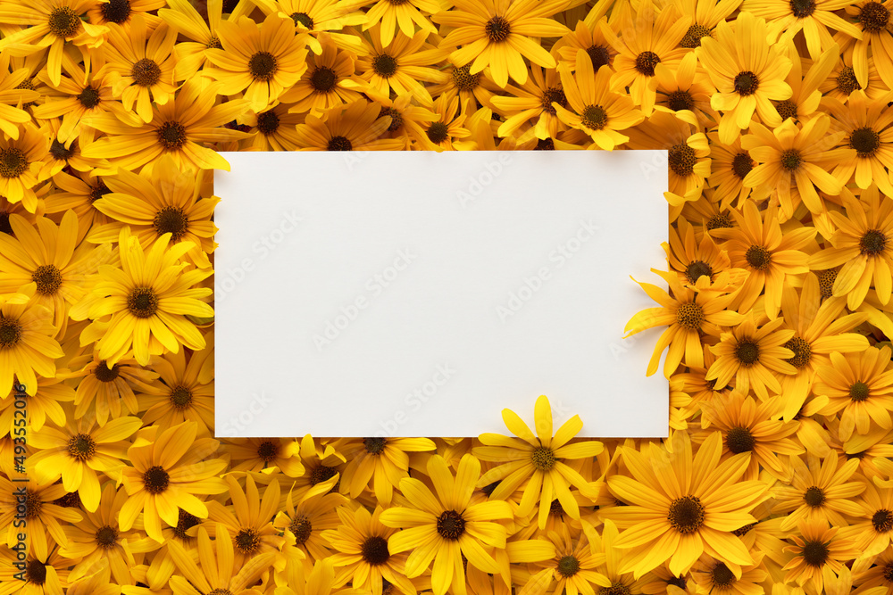 Obraz premium Frame of bright and warm yellow summer flowers with blank white postcard for text.