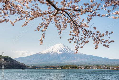 Fuji Mountain and Pink sakura at Lake Kawaguchiko, Fujinomiya, Shizuoka, Japan © iamdoctoregg