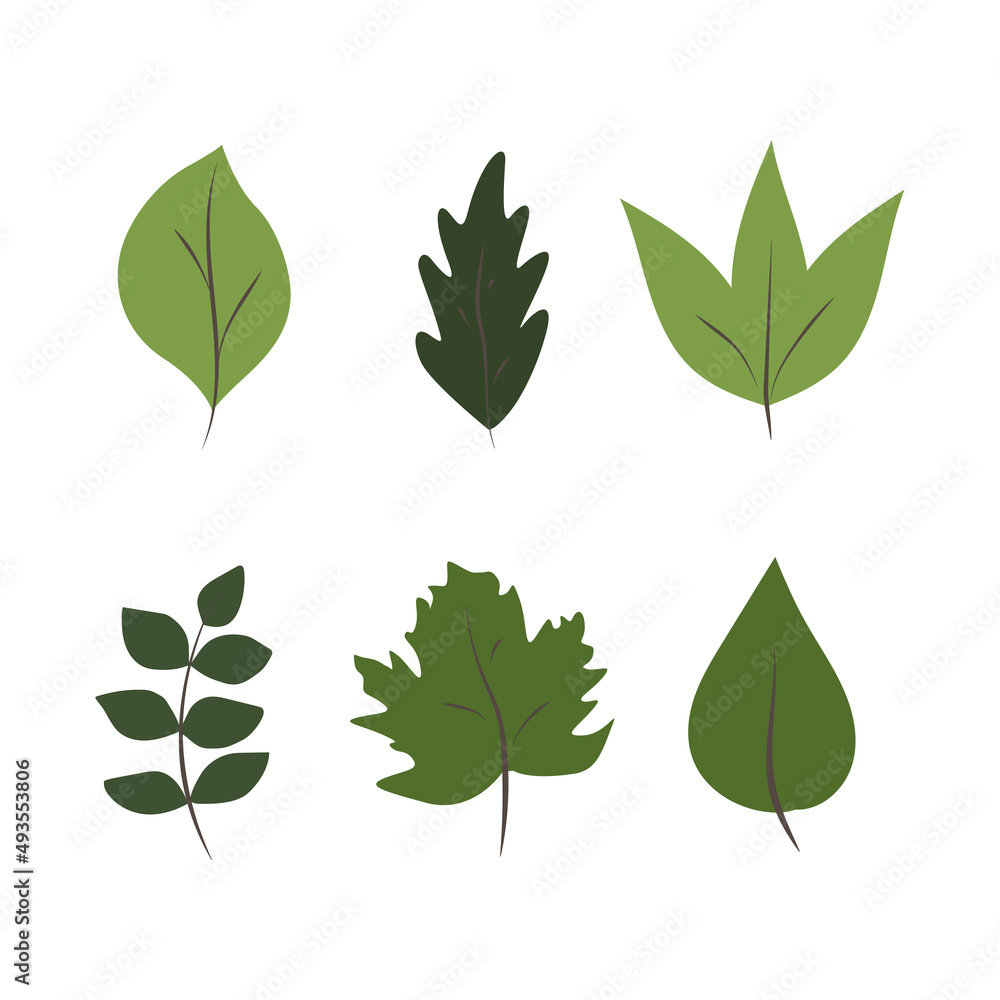 Green leaves collection. Bright fall foliage. Green leaves collection. Bright fall foliage.