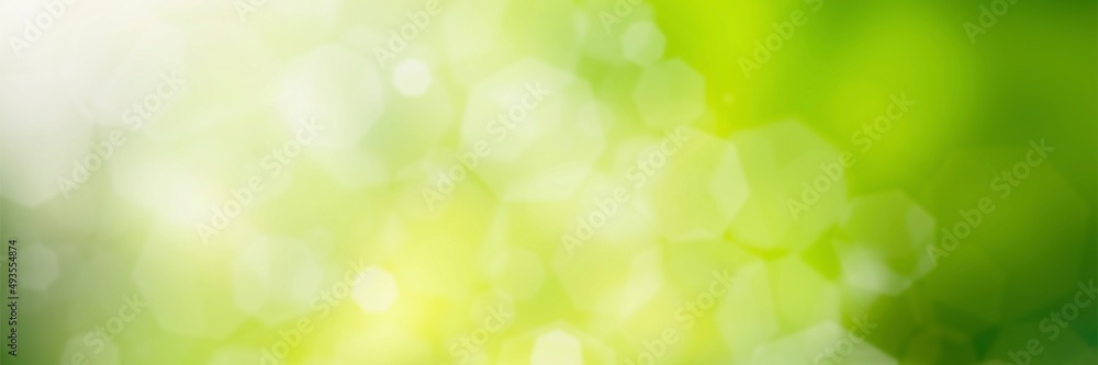 Obraz premium green natural background.