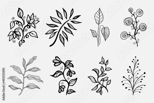 Hand drawn vector design floral elements