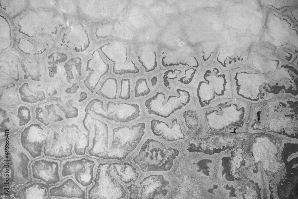 Obraz premium Old Concrete floor In black and white color, cement , broken ,dirty, background texture