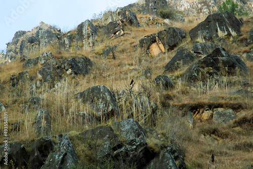 Rocky mountainside (rock outcrops) slope, huge rocks rolled down the slope, winter mountain prairie, and crow perching on a bush. Siwalik photo