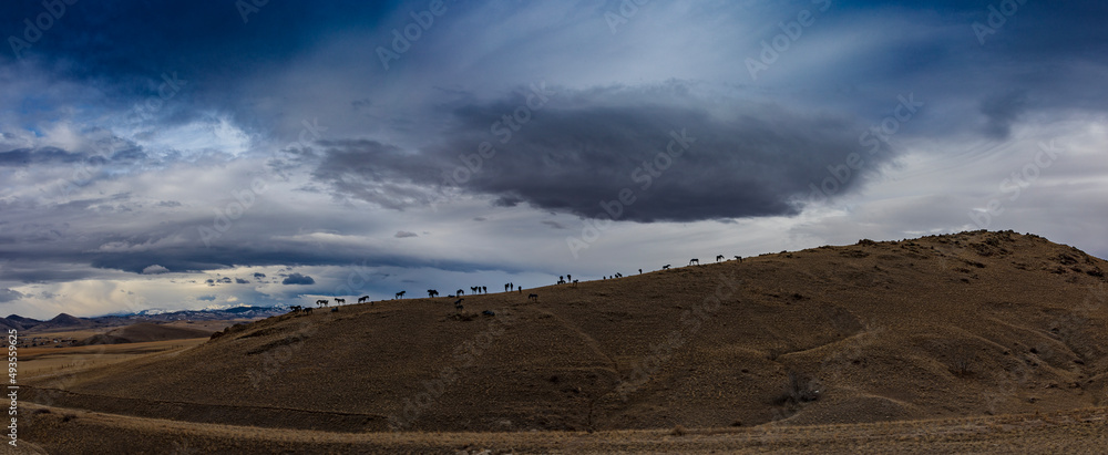 Horse statues silhouetted on Montana hill