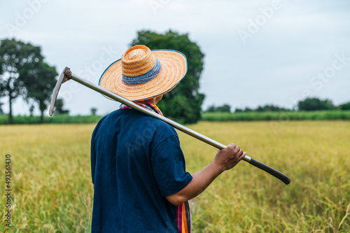Asian farmer carrying hoe on shoulder in rice field