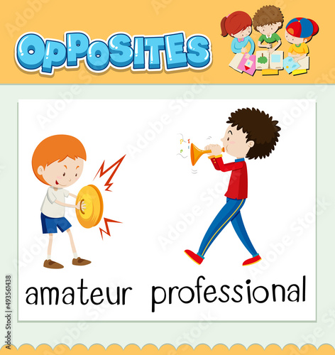 Opposite words for amateur and professional