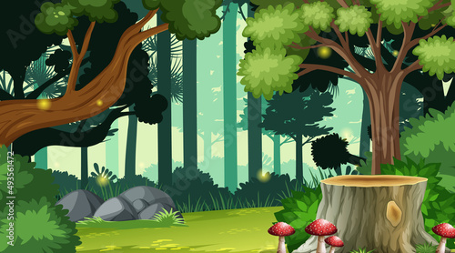 Nature outdoor forest background