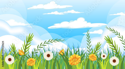 Scene with many flowers in garden
