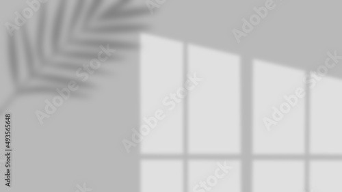 Abstract light and windows shadow background with palm leaf shadow  wallpaper illustration