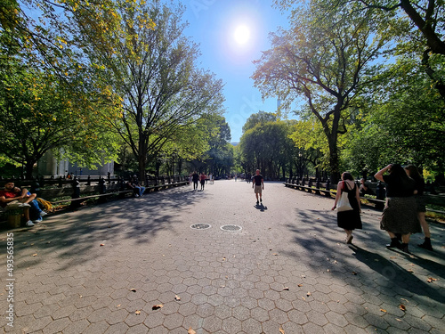 Park in the city under the sun
