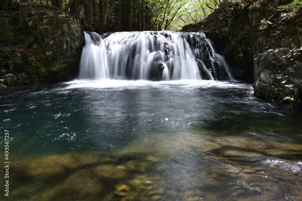Fototapeta premium a beautiful waterfall shot by long exposure