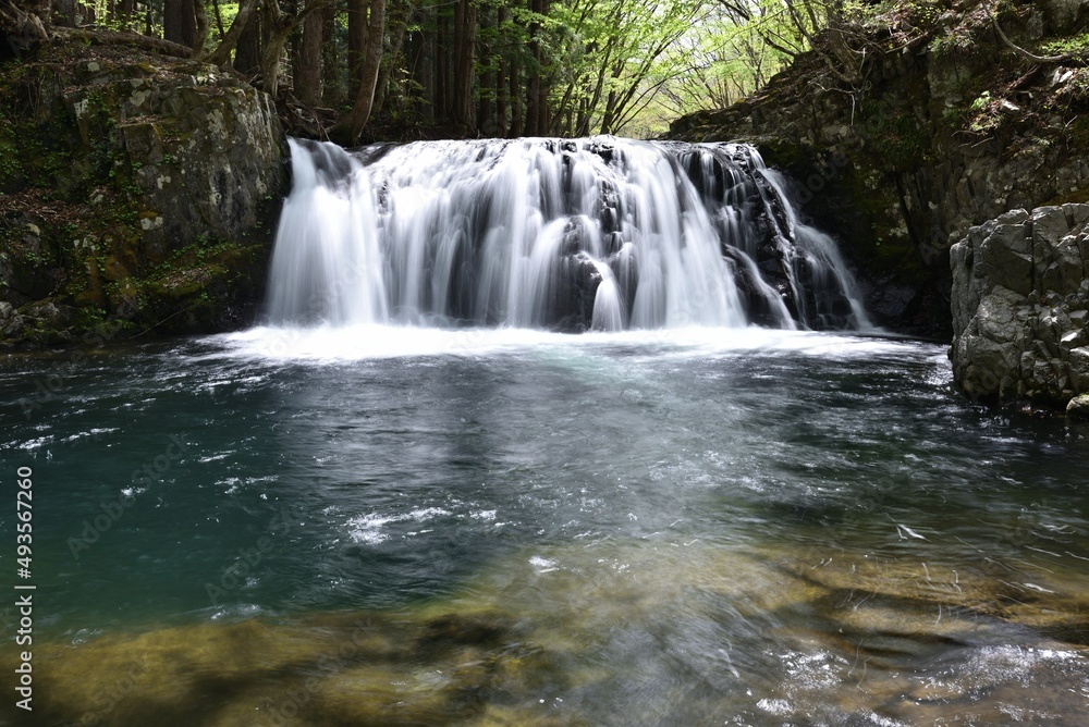 Fototapeta premium a beautiful waterfall shot by long exposure