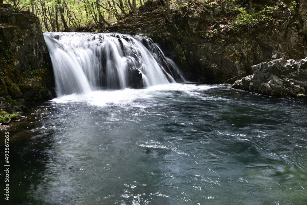 Fototapeta premium a beautiful waterfall shot by long exposure