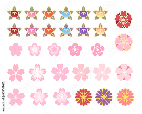 set of flowers sakura blossom japan