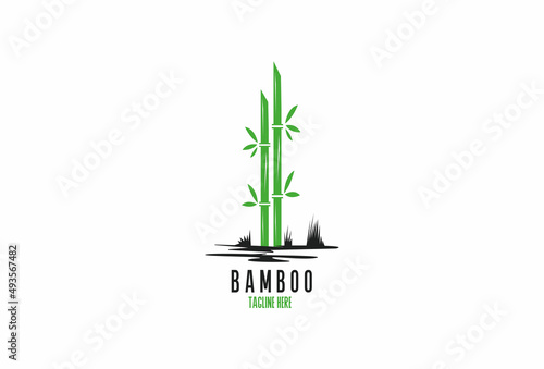 green bamboo plant Premium Vector Design