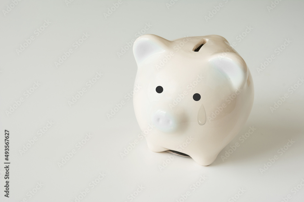 涙を流すブタ 貯金箱 涙を流すブタ 貯金箱