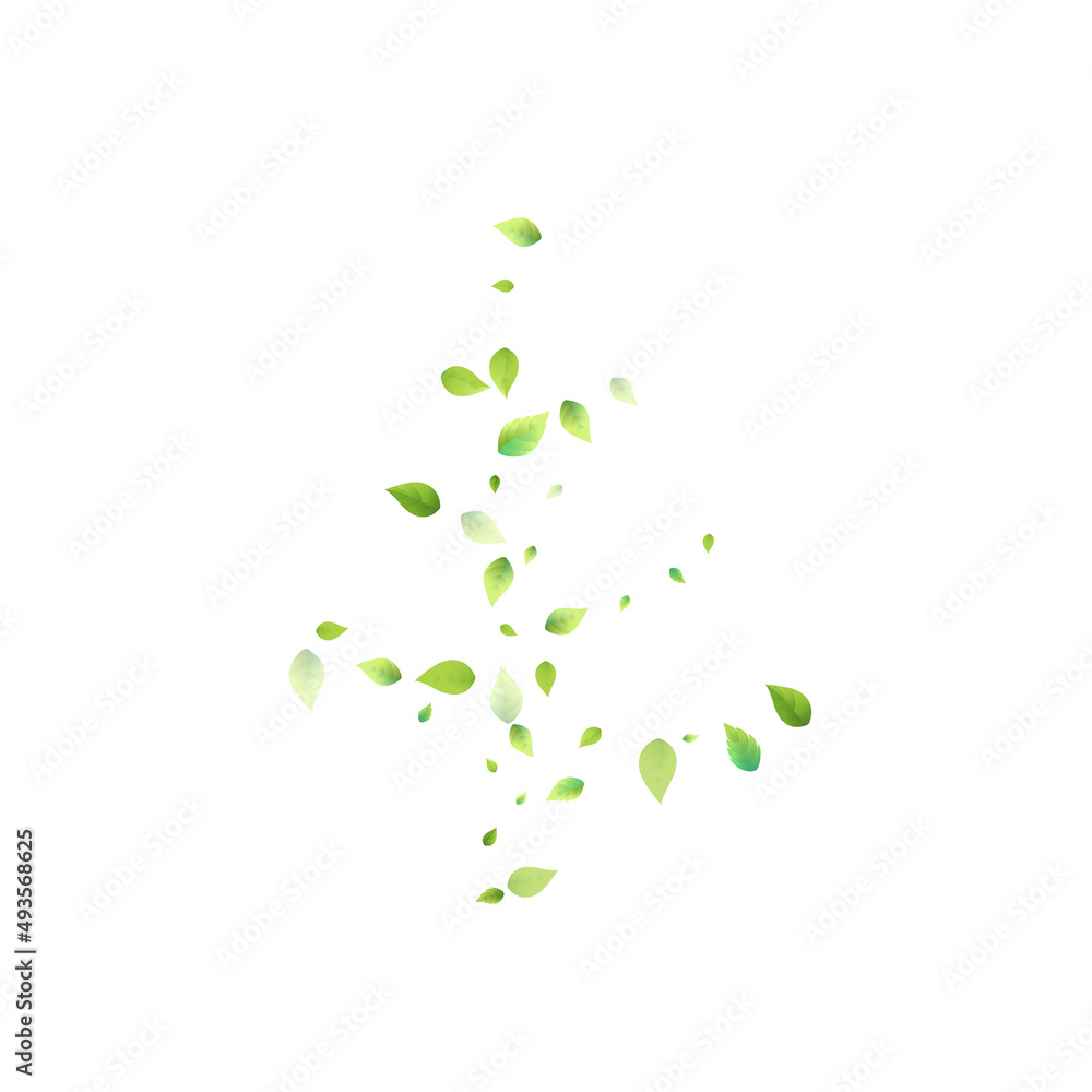 Leaves Green Falling Flying Foliage Leaf Tea Mint Leaves Green Falling Flying Foliage Leaf Tea Mint