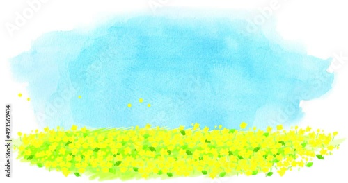 水彩の菜の花畑と青空のループアニメ