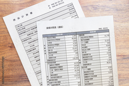 Wallpaper Mural 財務諸表、貸借対照表、損益計算書（アップ） Torontodigital.ca