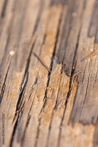 the worn down surface of a wooden board