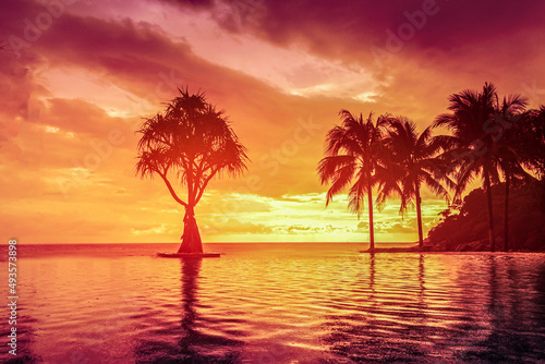 fabulous tropical sunset, silhouettes of palm trees against the background of orange and pink-purple sky. reflection of the sky in the water, relaxation meditation and rest