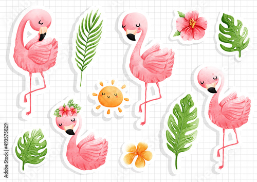 Pink flamingo, tropical flamingo vector illustration