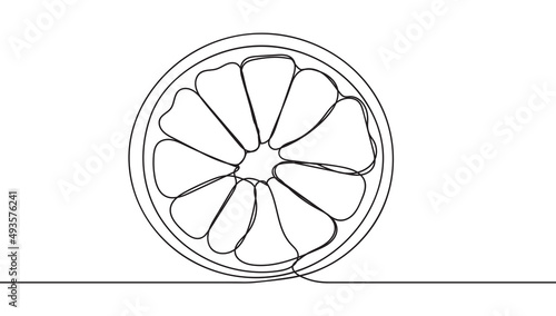 Continuous one line drawing of orange fruit