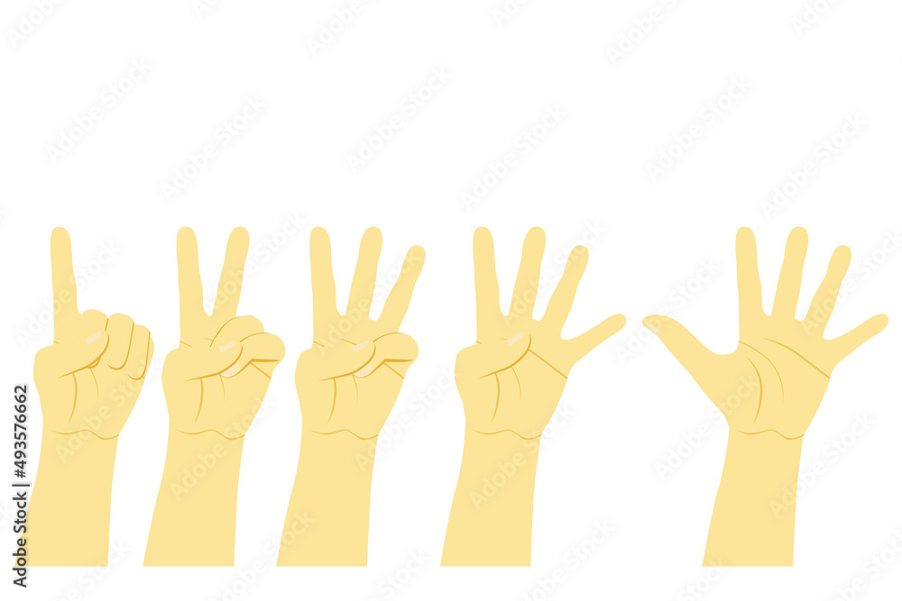 Simple Vector Set of Counting or Voting Hand, Isolated on White