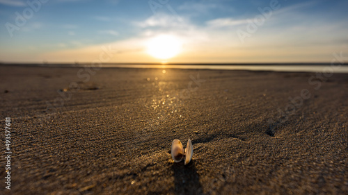 Beach at the Netherlands and sunsset