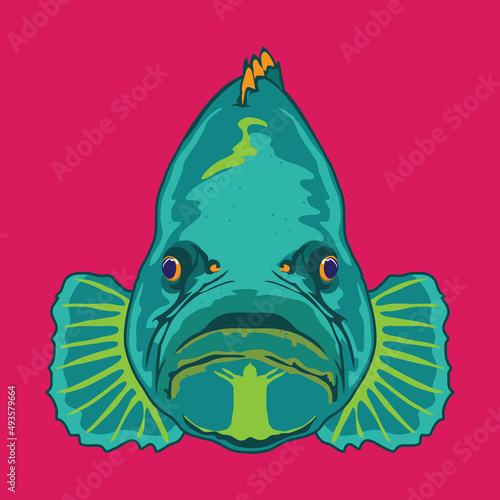 Grouper fish face vector illustration in decorative style, perfect for tshirt style and mascot logo photo