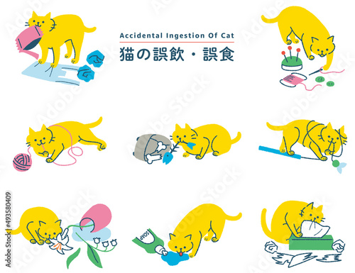 猫の誤飲誤食　イラストセット