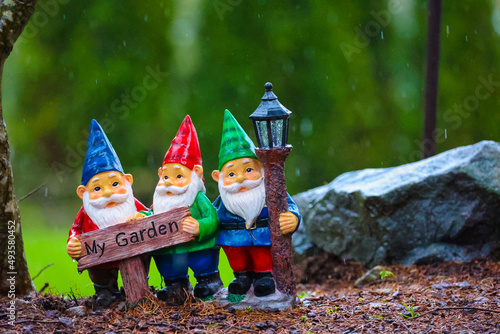 Three Garden Gnomes Side by Side In Yard