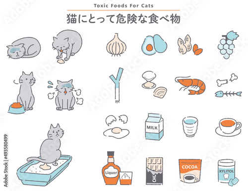 猫　危険な食べ物のイラストセット