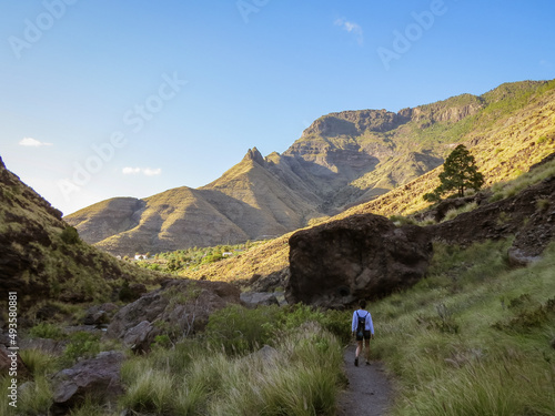 Senderista por el camino del barranco de El Risco hacia el charco azul. Isla de Gran Canaria, España. Típico paisaje agreste con profundos barrancos en la isla. © AngelLuis
