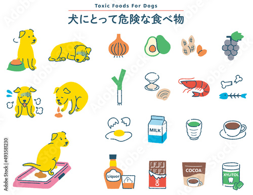 犬　危険な食べ物のイラストセット