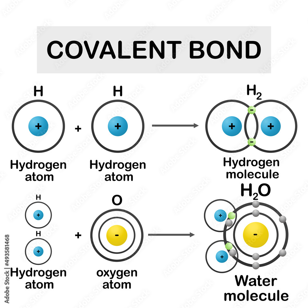 Covalent Bond Model ionic-and-covalent-worksheet-live-worksheets-41-off